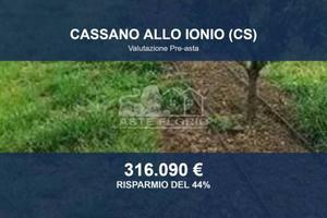 Immobile in asta di 98590 m² a Cassano all'Ionio