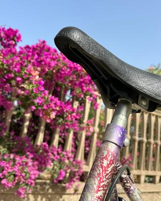 Bici MTB/BMX