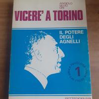 Vicere a Torino | Il potere degli agnelli 