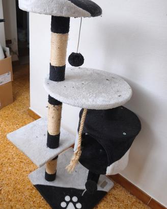 tiragraffi gato