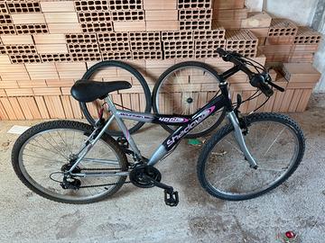 Bicicletta