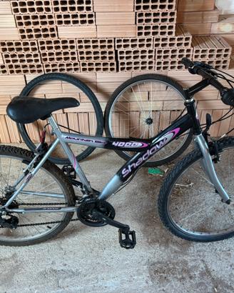 Bicicletta