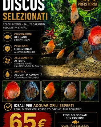 Discus