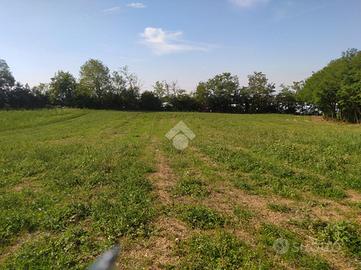 TER. AGRICOLO A GRUMELLO DEL MONTE