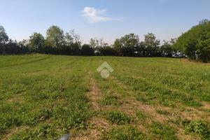 TER. AGRICOLO A GRUMELLO DEL MONTE