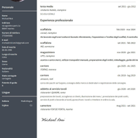 Scaffalista/magazziniere/corriere