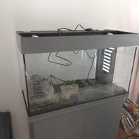 Acquario JUWEL Rio 125L + Filtro + Pompa elettrica