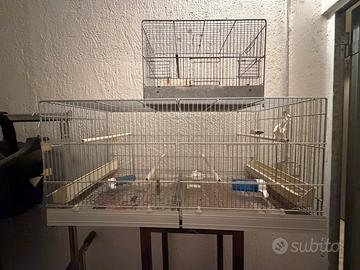 Gabbie per uccellini