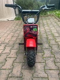 Minicross nitro flee 300w 24v
