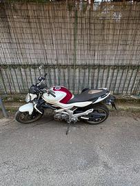 Suzuki SV 650 GLADIUS