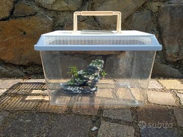 Vaschetta pesci con accessori