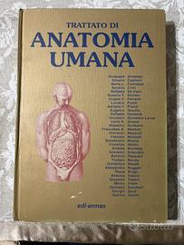 Trattato di Anatomia Umana - Vol. 2 - Anastasi