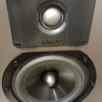 Grandi casse INDIANA LINE a 3 vie, stupende.