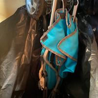 Passeggino azzurro chicco