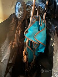 Passeggino azzurro chicco