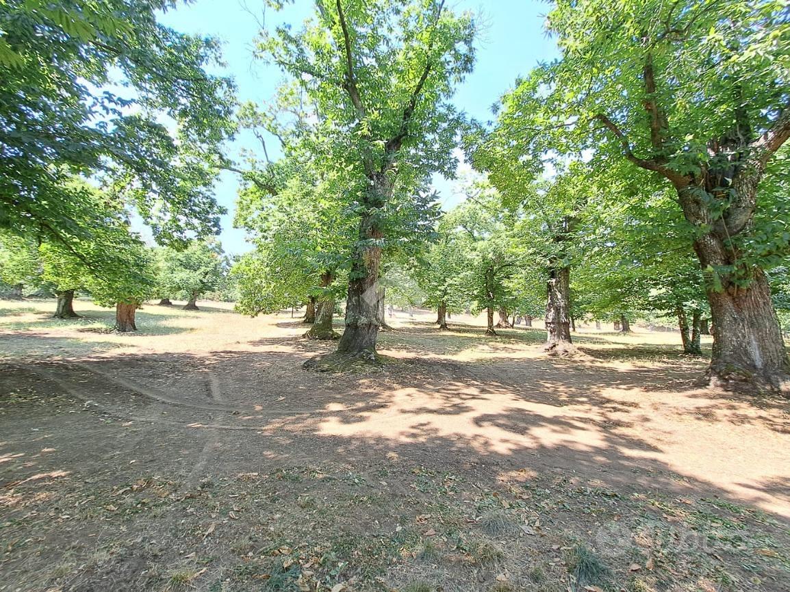 TER. AGRICOLO A VALLERANO - Altro
