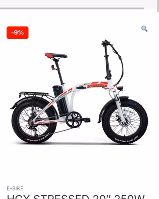 bici elettrica 