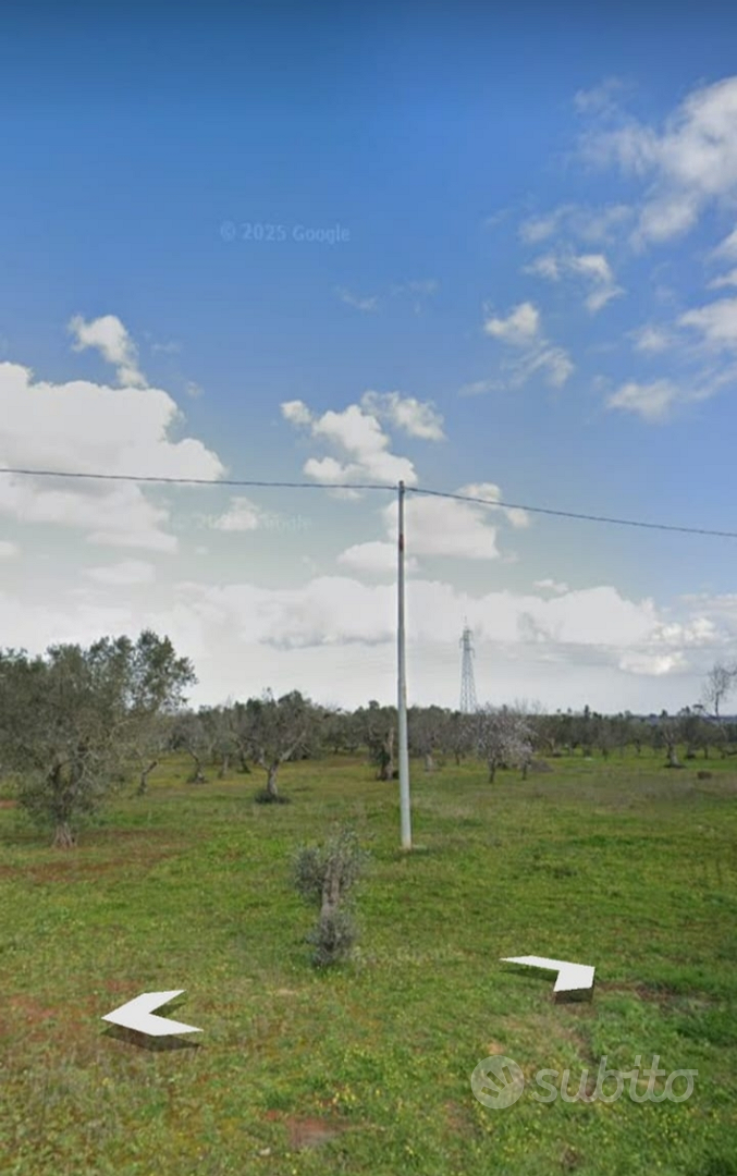 Terreno con uliveto - Vista 4