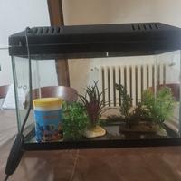 Acquario con luce