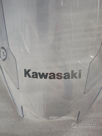Cupolino originale Kawasaki
