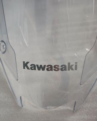 Cupolino originale Kawasaki