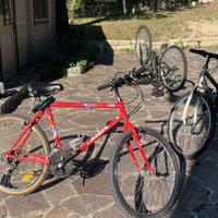 2 MTB atala e frejus