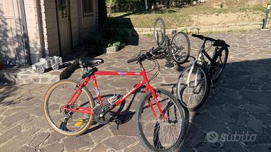 2 MTB atala e frejus