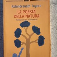 Libri Poesie 