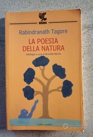 Libri Poesie 