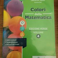 Colori della matematica volume 4