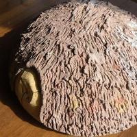 Ciotola Antica Centrotavola
