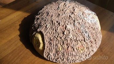 Ciotola Antica Centrotavola