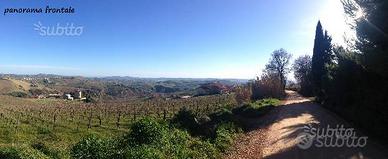 Offida terreno edificabile lottizzato urbanizzato