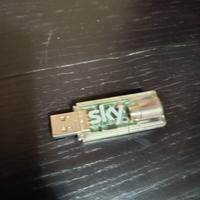 chiavetta Sky digitale terrestre 