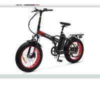 Bici pedalata assistita