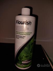 acquario crescita rapida piante