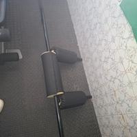 Safety Bar squat