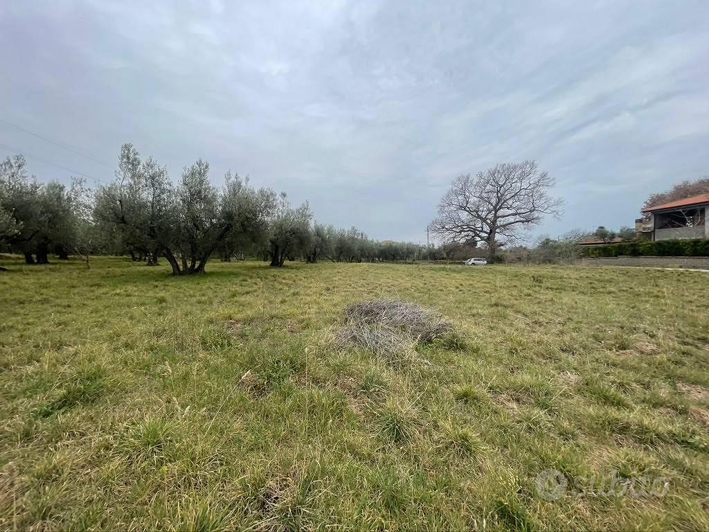 Terreno di 5000 m² a Viterbo - Vista 3
