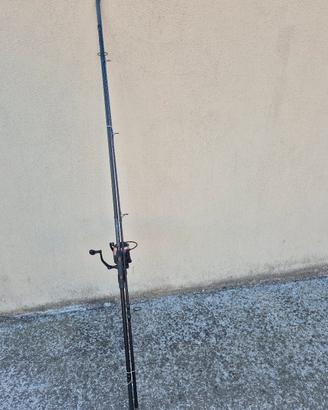 canne carpfishing/barca