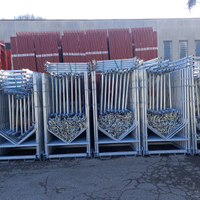 Ponteggio,Goffi,Nuovo