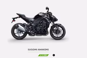 Kawasaki Z 1100 2026