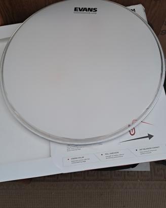 Pelle Evans Uv2     16 pollici 