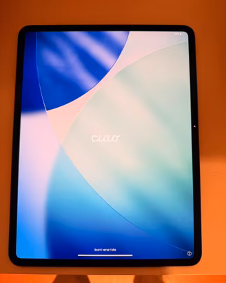 iPad Pro M4 13” 256 GB Nero siderale