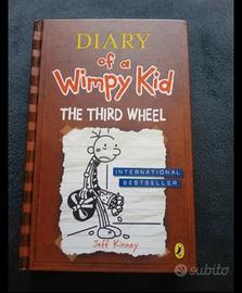 libro ragazzi diario di una schiappa in inglese