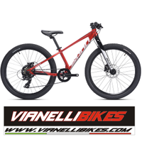 Mtb sunn tox 24 ragazzo disc hydro monocorona