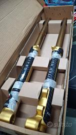 Forcella Trial Tech Factory Kashima Pro