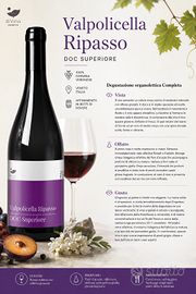 Valpolicella Ripasso Doc Superiore