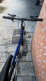 Mountain bike