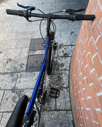 Mountain bike