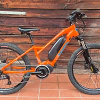 mountain bike elettrica bambino 24